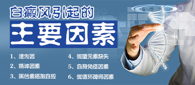 1477559734138325.jpg 未標題-8.jpg