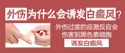 1477560099111706.jpg 未標題-5.jpg